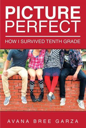 Cover of the book Picture Perfect by George Jerjian