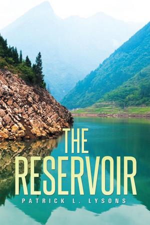 Cover of the book The Reservoir by Richard Schain