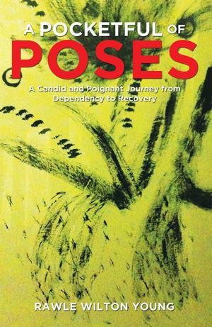 Cover of the book A Pocketful of Poses by Terence Emmons