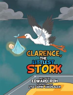 Cover of the book Clarence, the Littlest Stork by Sandra Fickbohm Granger, Robert Fickbohm