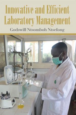 bigCover of the book Innovative and Efficient Laboratory Management by 