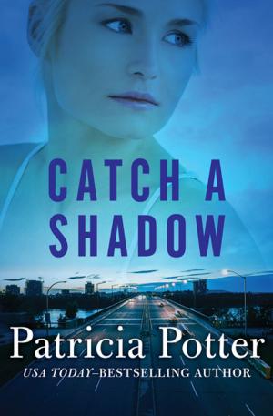 Cover of the book Catch a Shadow by Jillian Ward