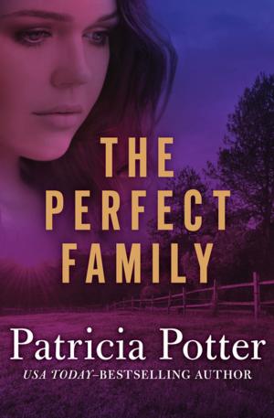 Book cover of The Perfect Family