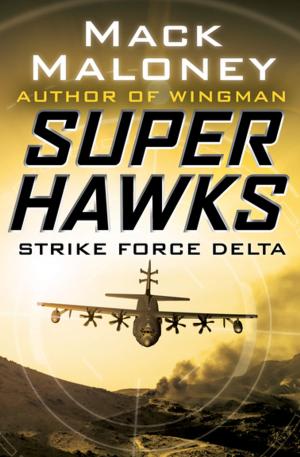 Cover of the book Strike Force Delta by Richard Stern