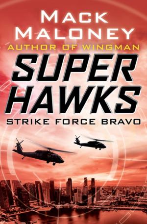 Cover of the book Strike Force Bravo by Ernle Bradford