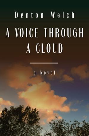 bigCover of the book A Voice Through a Cloud by 