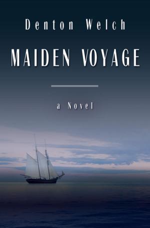 Cover of the book Maiden Voyage by Linda Barnes