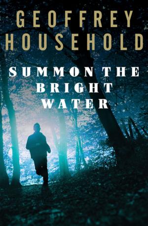 Cover of the book Summon the Bright Water by Damien Lewis