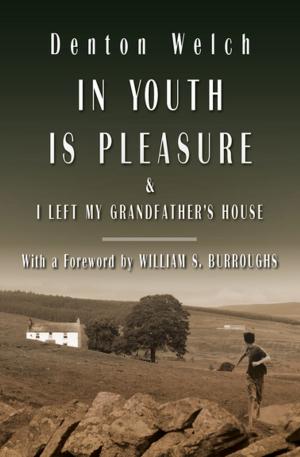 Cover of the book In Youth Is Pleasure by Gerald A. Browne