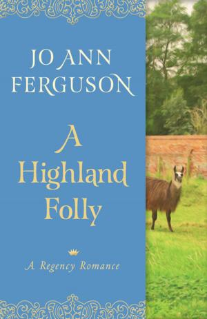 Cover of the book A Highland Folly by Jan DeBlieu