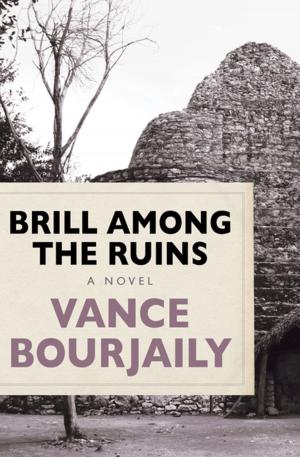Cover of the book Brill Among the Ruins by Joe Craig