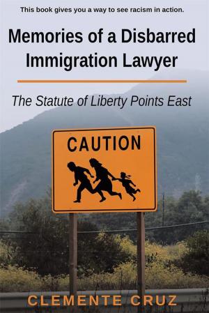 Cover of the book Memories of a Disbarred Immigration Lawyer by Regina  R. Carver