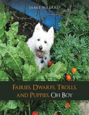 Cover of the book Fairies, Dwarfs, Trolls, and Puppies, Oh Boy by Patrick McCarthy