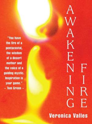 Cover of the book Awakening Fire by maki starfield/Yiorgos Veis