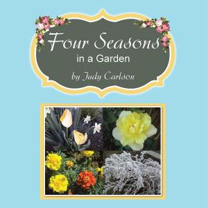 Cover of the book Four Seasons in a Garden by Deborah C. Moore