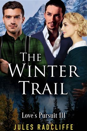Cover of the book The Winter Trail by J.L. Dillard