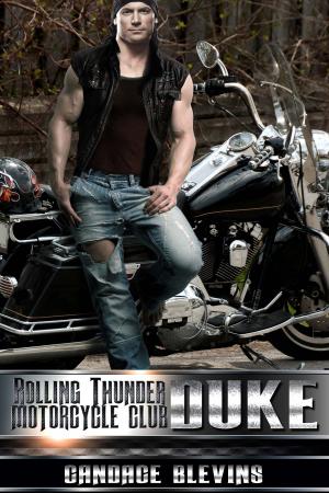 Cover of the book Duke by Candace Blevins
