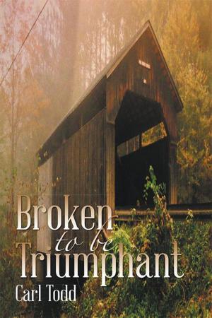 Cover of the book Broken to Be Triumphant by Kenneth Janiec