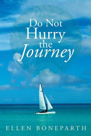 Book cover of Do Not Hurry the Journey