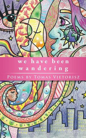 Cover of the book We Have Been Wandering by Ingrid Schweiger
