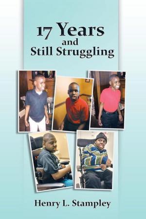 Cover of the book 17 Years and Still Struggling by Kelly Wilken