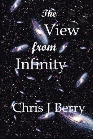 Cover of the book The View from Infinity by Peter Patrick Glancy Campbell