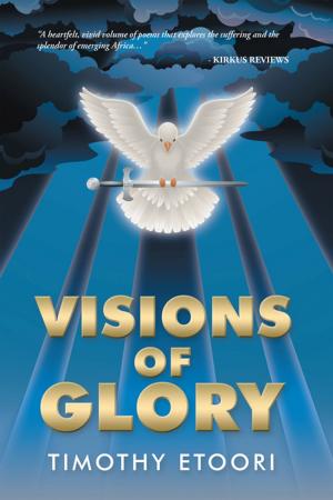 Cover of the book Visions of Glory by Charles Akujieze