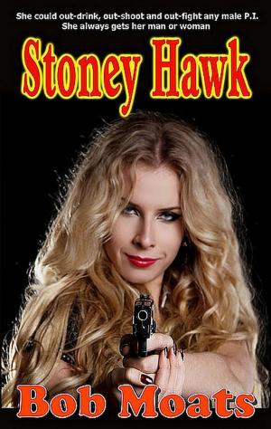 Book cover of Stoney Hawk
