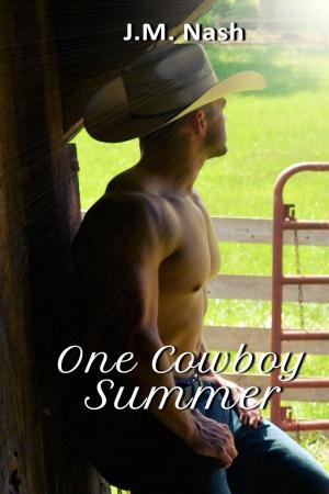 Book cover of One Cowboy Summer