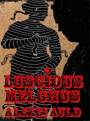 Book cover of Luscious Melchus 2: Fancy Anansi?