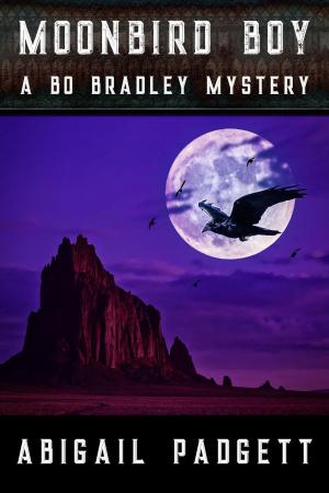Book cover of Moonbird Boy