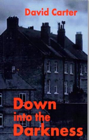 Cover of the book Down into the Darkness by Aonghus Fallon