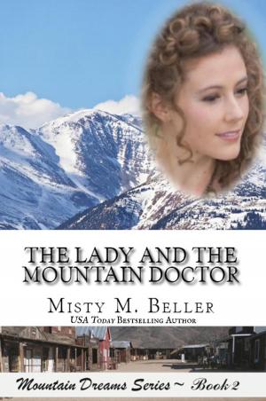 Book cover of The Lady and the Mountain Doctor