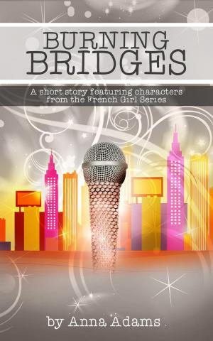 Book cover of Burning Bridges (a short story with characters from the French Girl series)