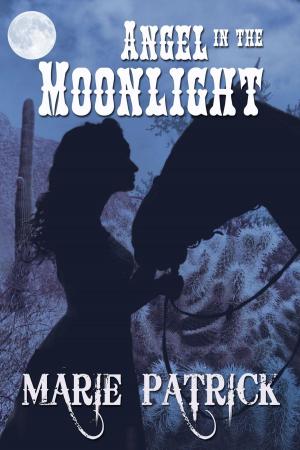Book cover of Angel in the Moonlight