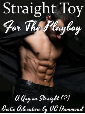 Book cover of Straight Toy for the Playboy