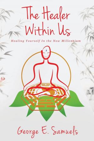 Cover of the book The Healer Within Us by Rick Jetter