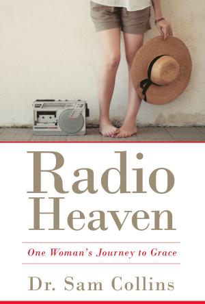 Book cover of Radio Heaven