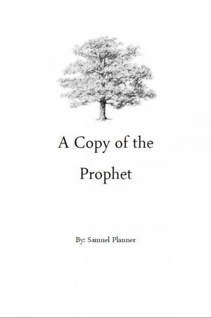 Cover of the book A Copy of the Prophet by Kalyssa Powell