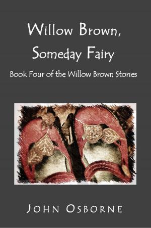Book cover of Willow Brown, Someday Fairy
