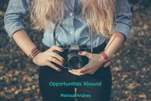 Book cover of Opportunities Abound