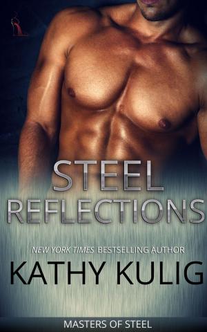 Book cover of Steel Reflections