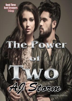 Cover of the book The Power of Two by Suzzana C Ryan