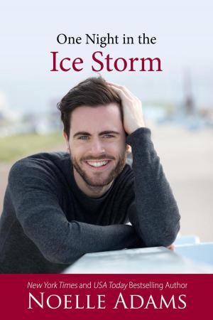 Cover of the book One Night in the Ice Storm by Cricket Monet