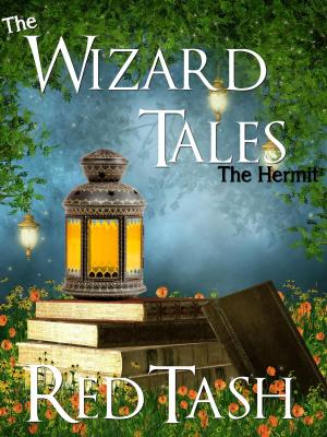 Book cover of The Hermit