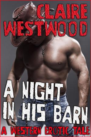 Cover of the book A Night in His Barn by Claire Westwood