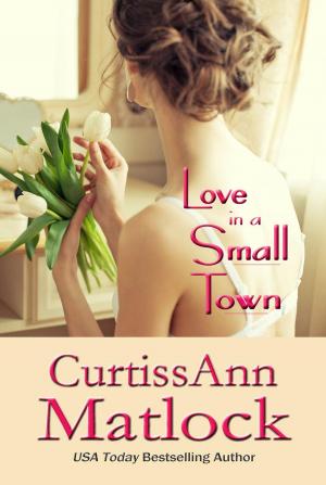 Cover of the book Love in a Small Town by Lydia Michaels, Allyson Young