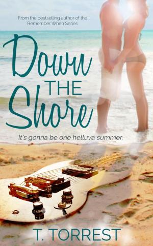 Cover of the book Down the Shore by Juli Valenti