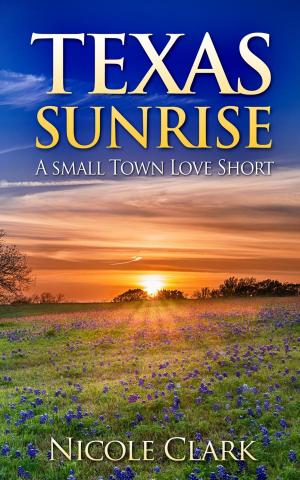 Cover of the book Texas Sunrise by Sarah Castille