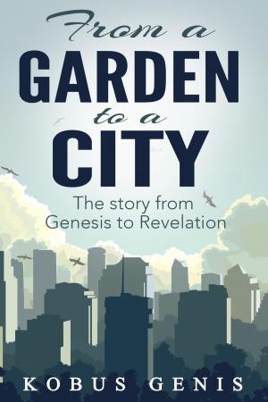 Book cover of From a Garden to a City
